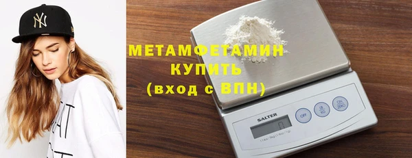 индика Богородск