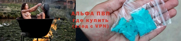 индика Богородск
