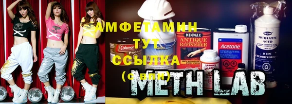 индика Богородск