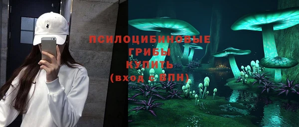индика Богородск