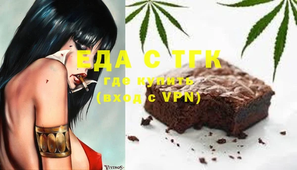 индика Богородск