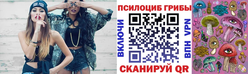 Псилоцибиновые грибы мухоморы  mega зеркало  Кола  купить  сайты 